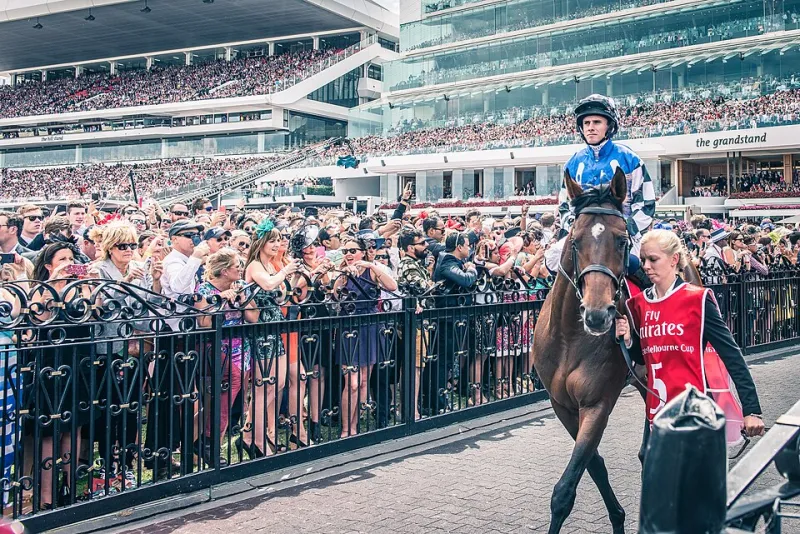 How to Survive Australia's Biggest Betting Season Without Blowing Your Budget